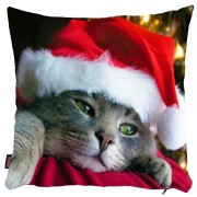 Kedili Yastık Kılıfı-48